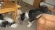 Thumbs/tn_Bild 090.jpg